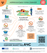 Як запобігти АЧС: рекомендації тим, хто доглядає за свинями