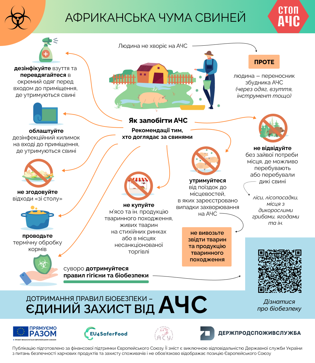 Як запобігти АЧС: рекомендації тим, хто доглядає за свинями