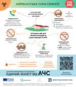 Алгоритм дій для свиногосподарств у разі підозри на АЧС