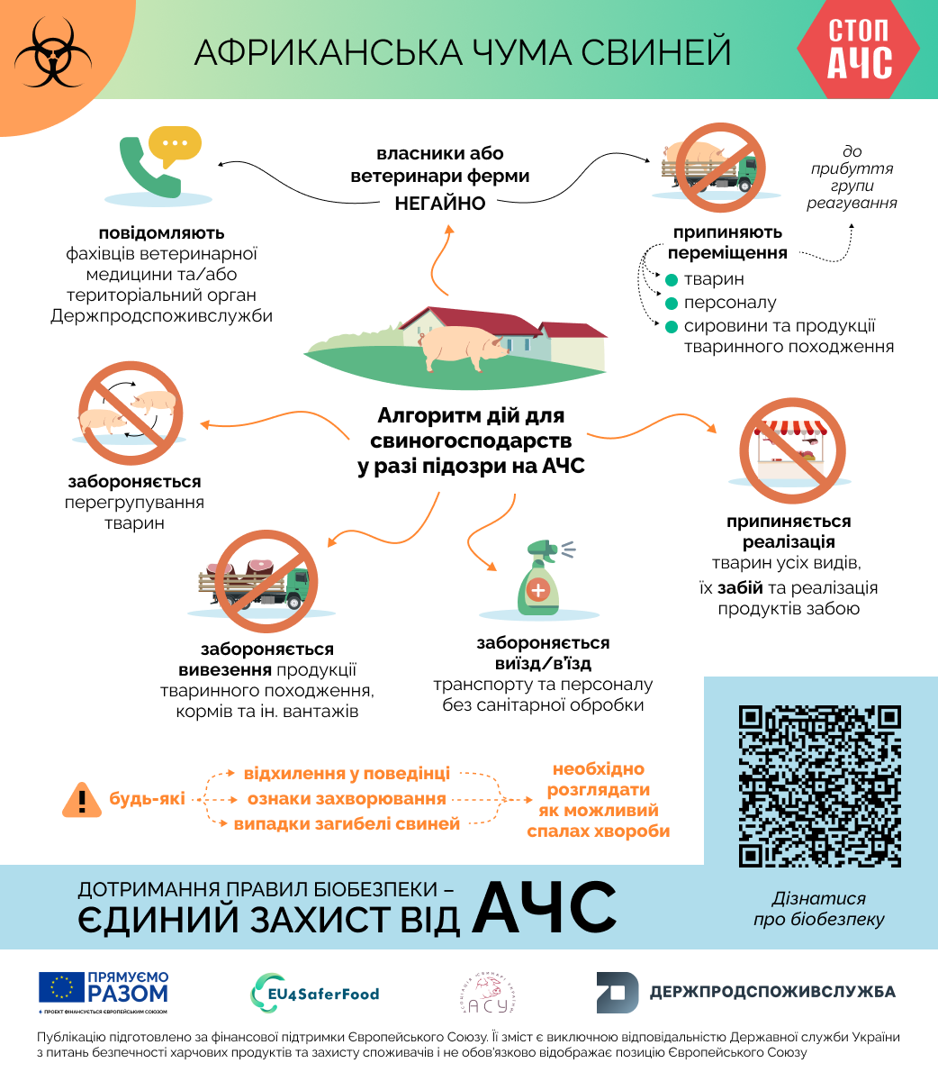 Алгоритм дій для свиногосподарств у разі підозри на АЧС
