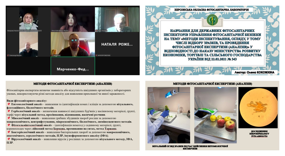 Відбувся семінар для державних фітосанітарних інспекторів управління фітосанітарної безпеки