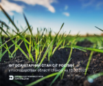 Оперативна інформація щодо фітосанітарного стану сільськогосподарських рослин в господарствах Херсонської області станом на 13.02.2025