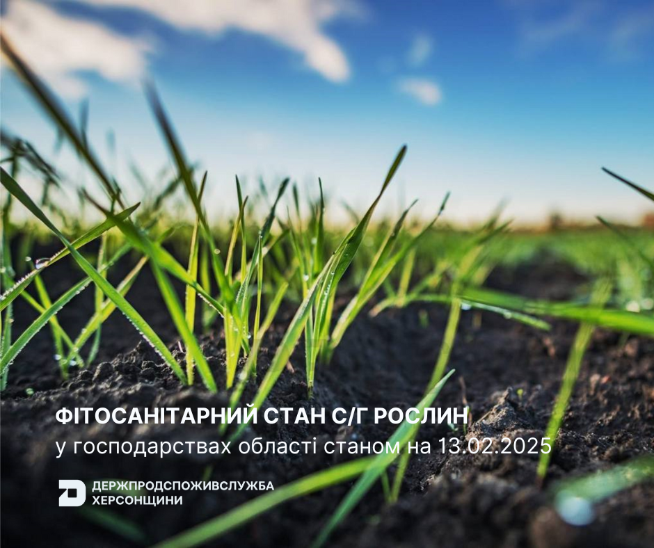 Оперативна інформація щодо фітосанітарного стану сільськогосподарських рослин в господарствах Херсонської області станом на 13.02.2025