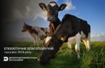 Епізоотичне благополуччя: підсумки 2024 року