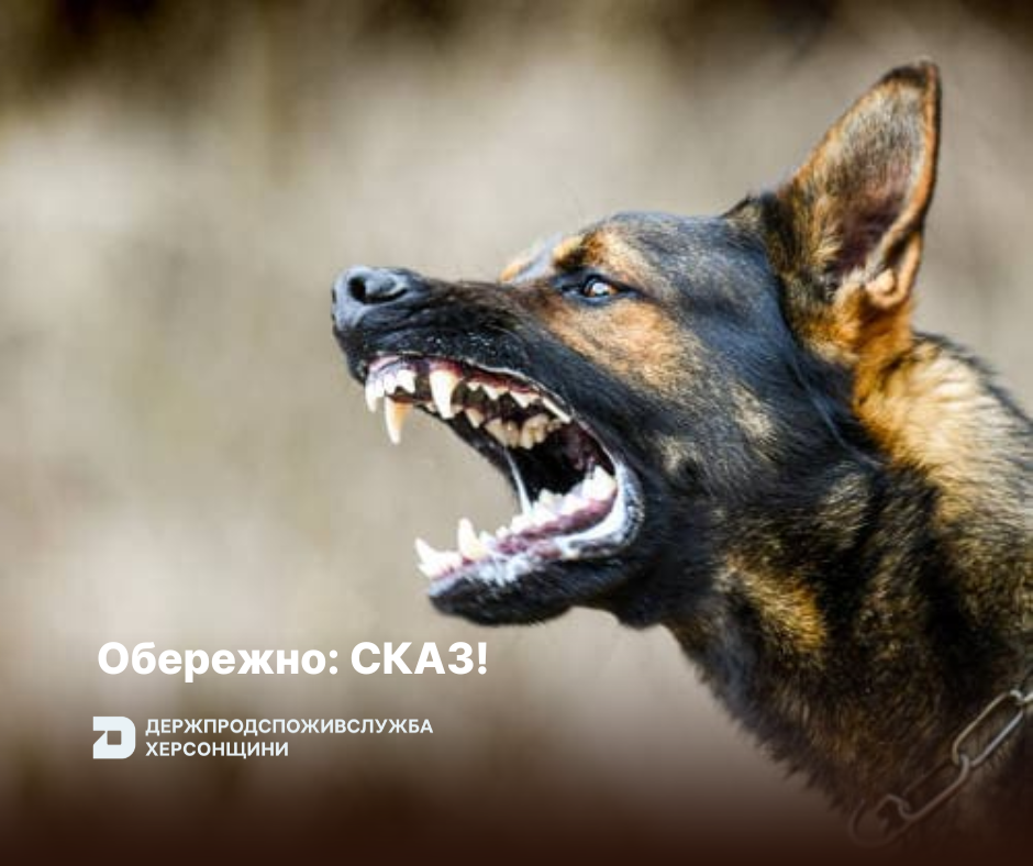 Обережно: СКАЗ!