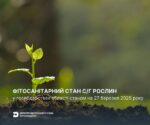 Оперативна інформація щодо фітосанітарного стану сільськогосподарських рослин в господарствах Херсонської області станом на 27.03.2025