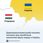 Держпродспоживслужба посилює контроль для запобігання занесенню вірусу ящуру в Україну