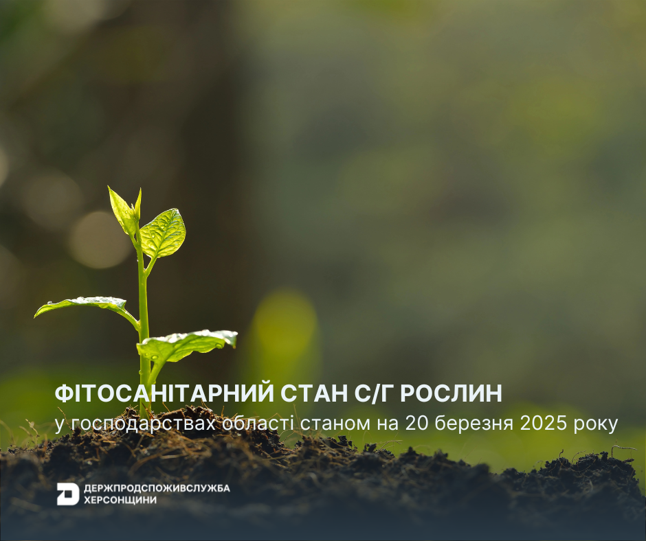 Оперативна інформація щодо фітосанітарного стану сільськогосподарських рослин в господарствах Херсонської області станом на 20.03.2025