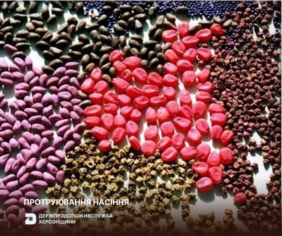 Протруювання насіння