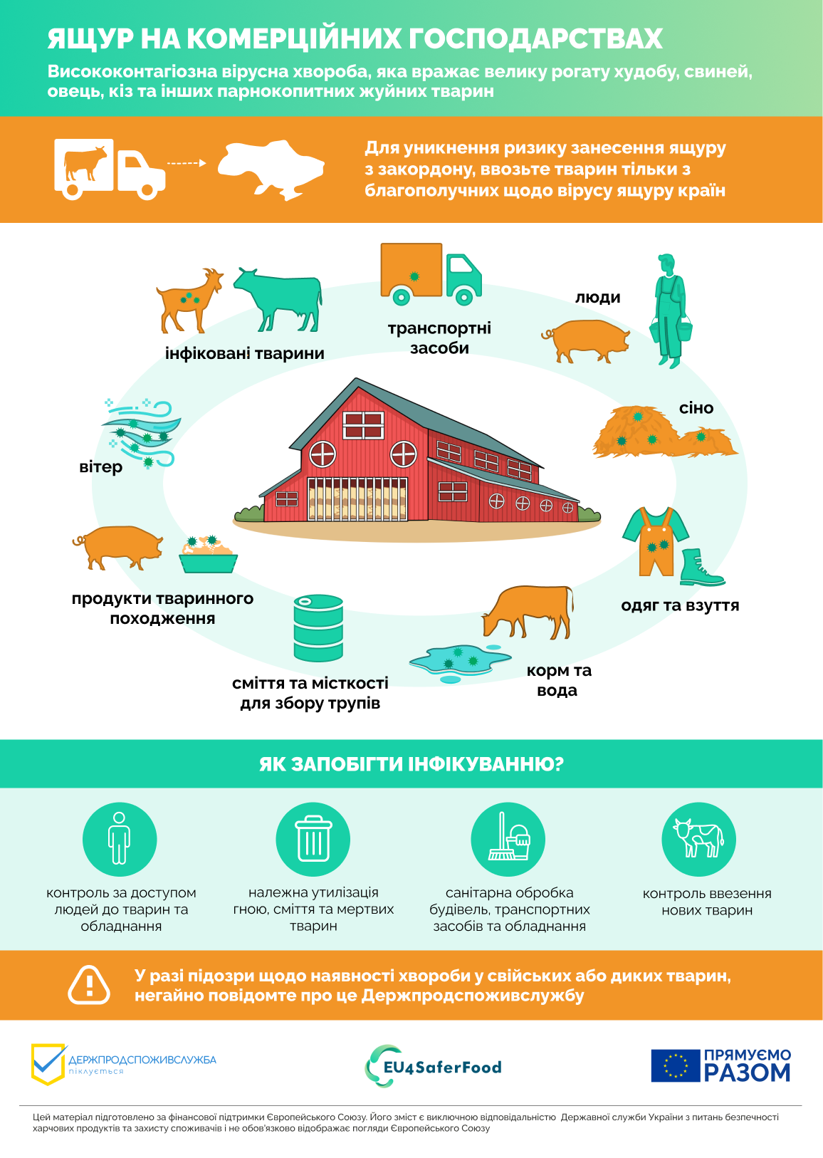 Комерційні господарства мають дотримуватись закритого режиму роботи для убезпечення від ящуру