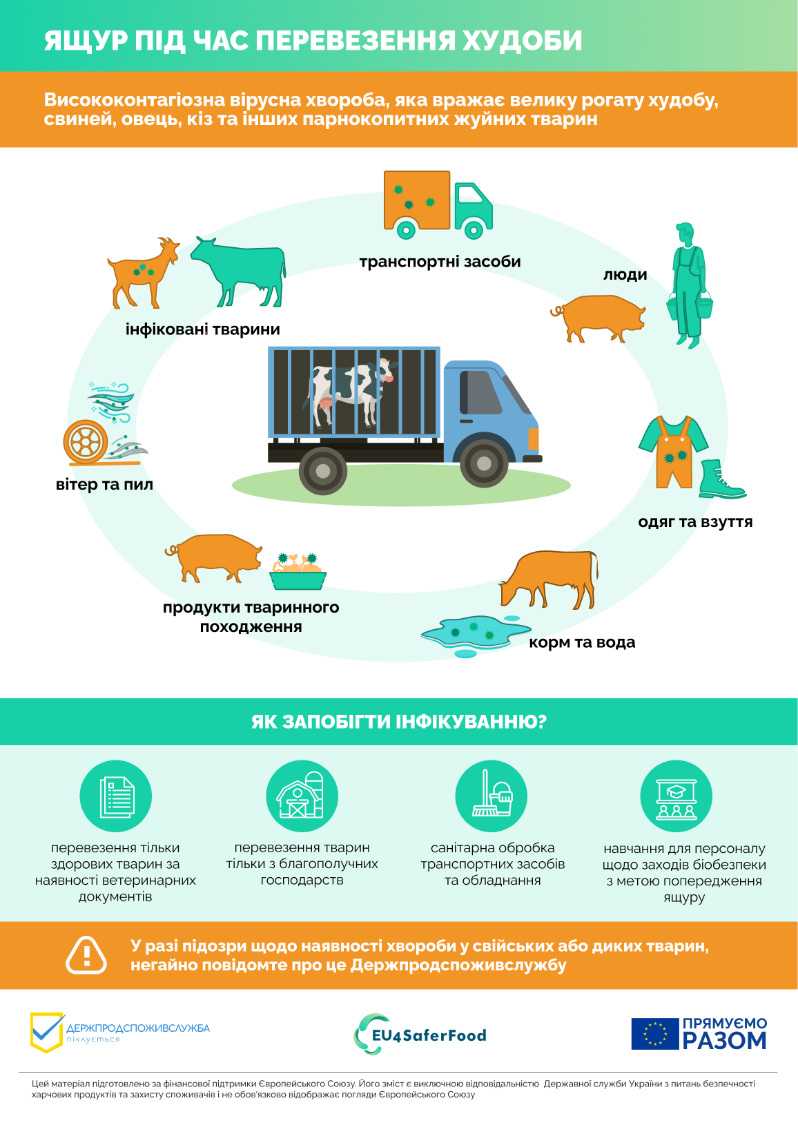 Як убезпечити худобу від ящуру при транспортуванні