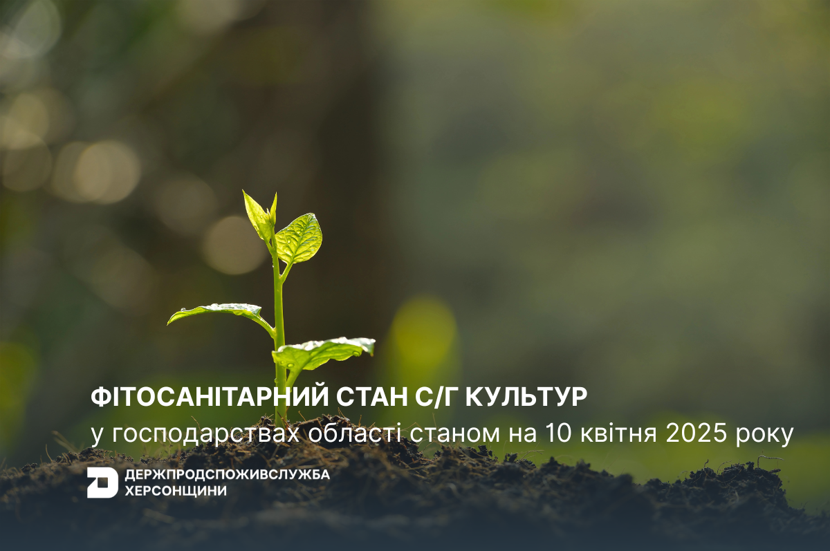 Оперативна інформація щодо фітосанітарного стану сільськогосподарських культур у господарствах Херсонської області станом на 10.04.2025