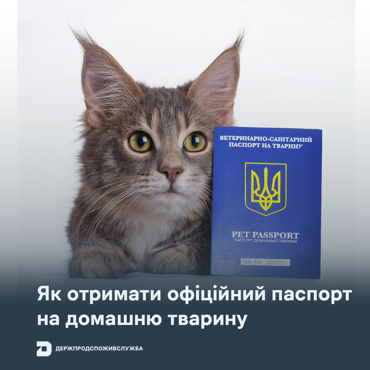 Як отримати офіційний паспорт на домашню тварину?