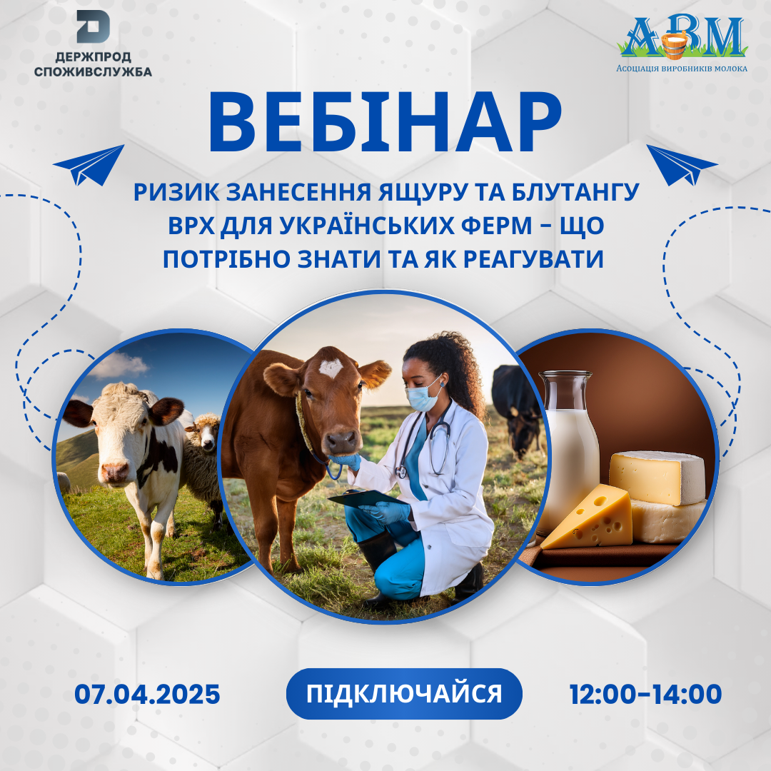 Вебінар: ризик занесення ящуру та блутангу ВРХ для українських ферм – що потрібно знати та як реагувати
