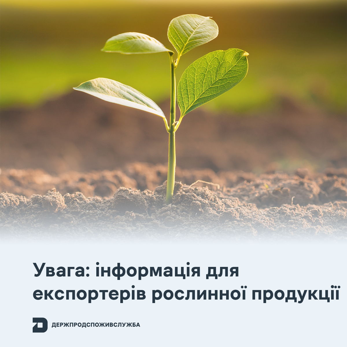 Увага: інформація для експортерів рослинної продукції!