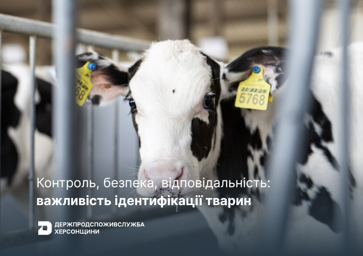 Контроль, безпека, відповідальність: важливість ідентифікації тварин