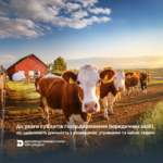 До уваги суб’єктів господарювання (юридичних осіб), які здійснюють діяльність з розведення, утримання та забою тварин