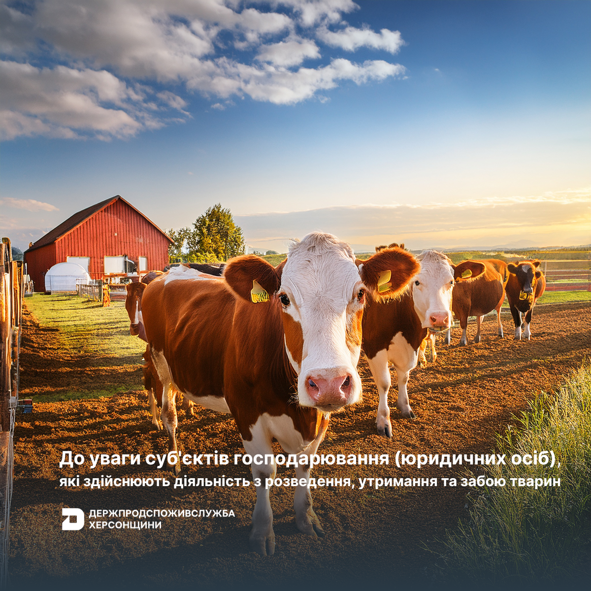 До уваги суб’єктів господарювання (юридичних осіб), які здійснюють діяльність з розведення, утримання та забою тварин