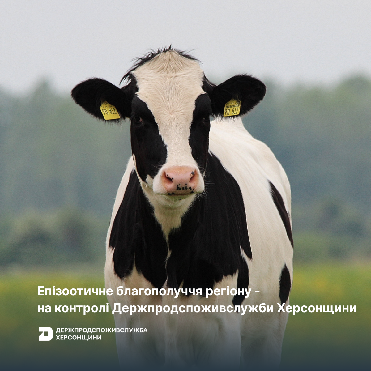 Епізоотичне благополуччя регіону – на контролі Держпродспоживслужби Херсонщини