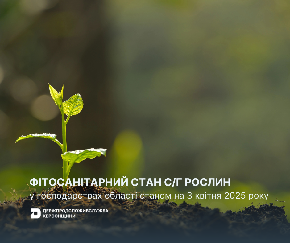 Оперативна інформація щодо фітосанітарного стану сільськогосподарських рослин в господарствах Херсонської області станом на 03.04.2025