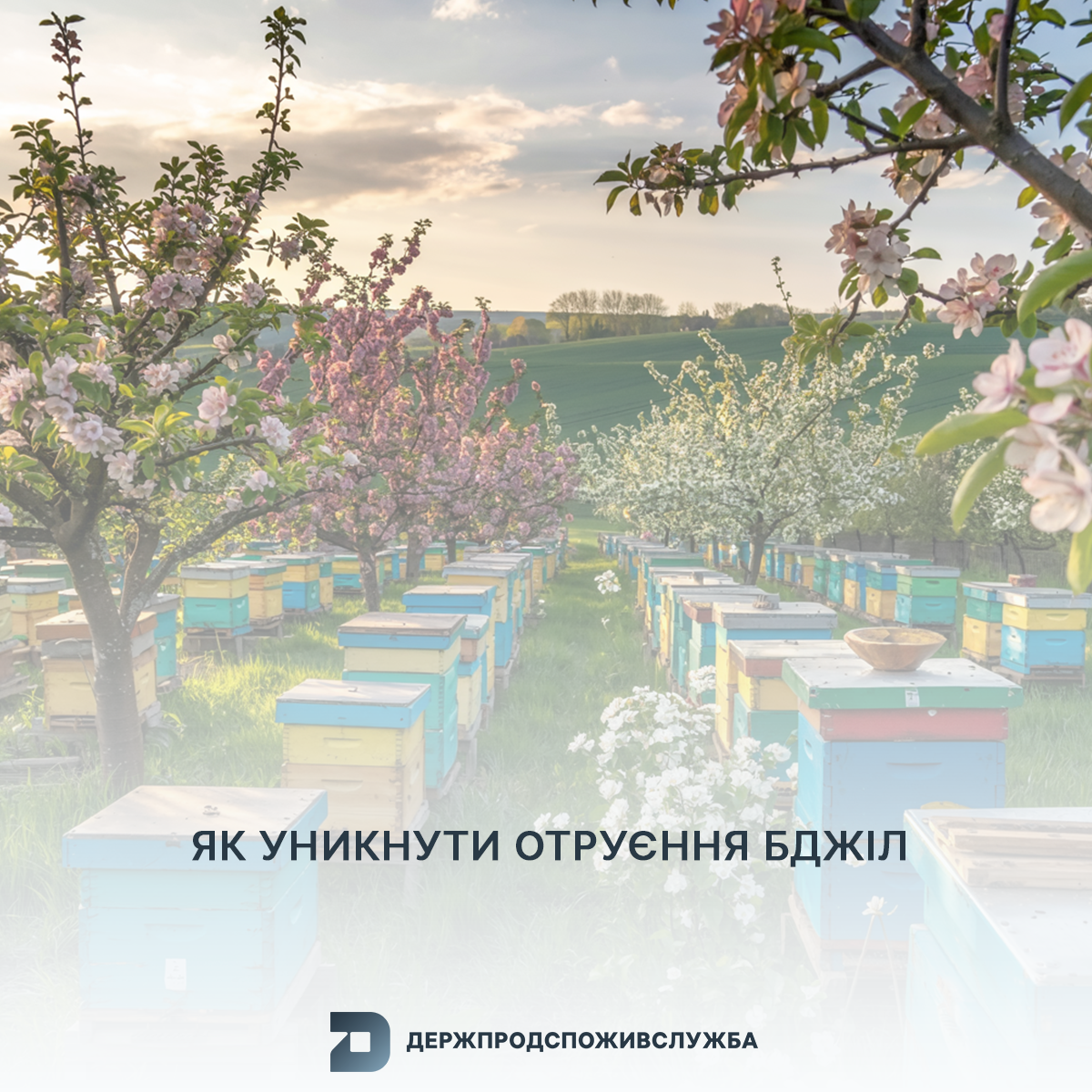 Як уникнути отруєння бджіл
