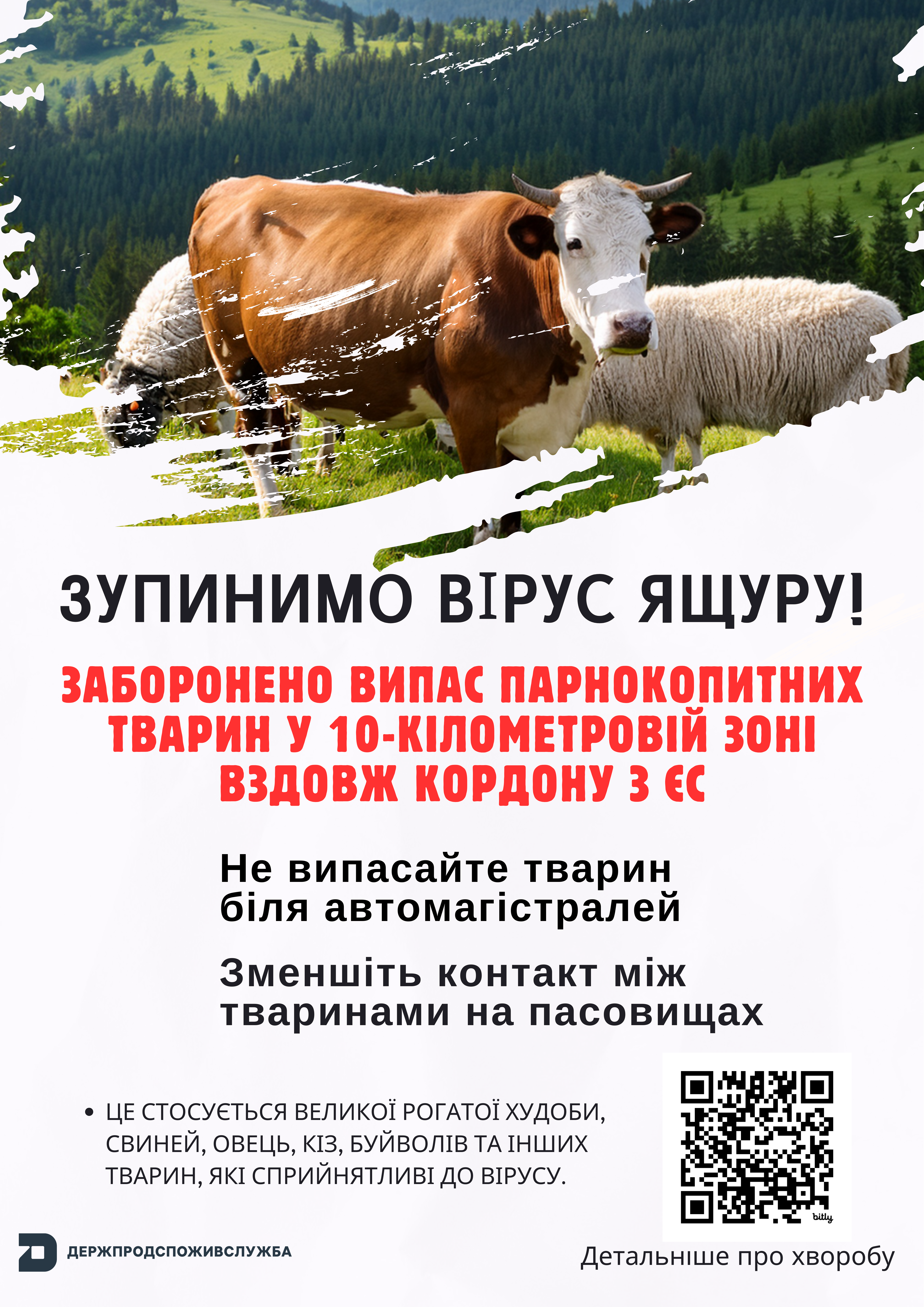 Для захисту від ящуру заборонено випас худоби в 10-кілометровій зоні біля кордону