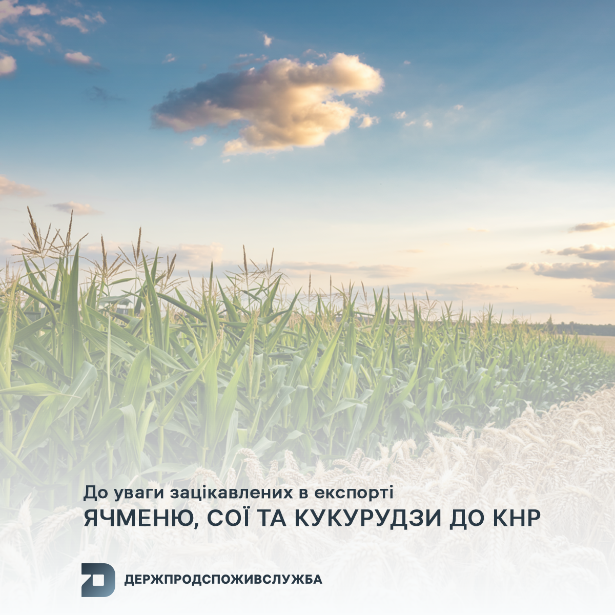 До уваги зацікавлених в експорті ячменю, сої та кукурудзи до КНР