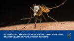 Malaria_Site Малярія — небезпечне захворювання, яке передається через укуси комарів