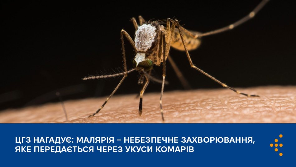 Малярія — небезпечне захворювання, яке передається через укуси комарів