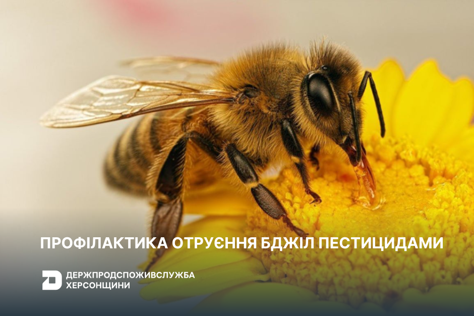 Профілактика отруєння бджіл пестицидами
