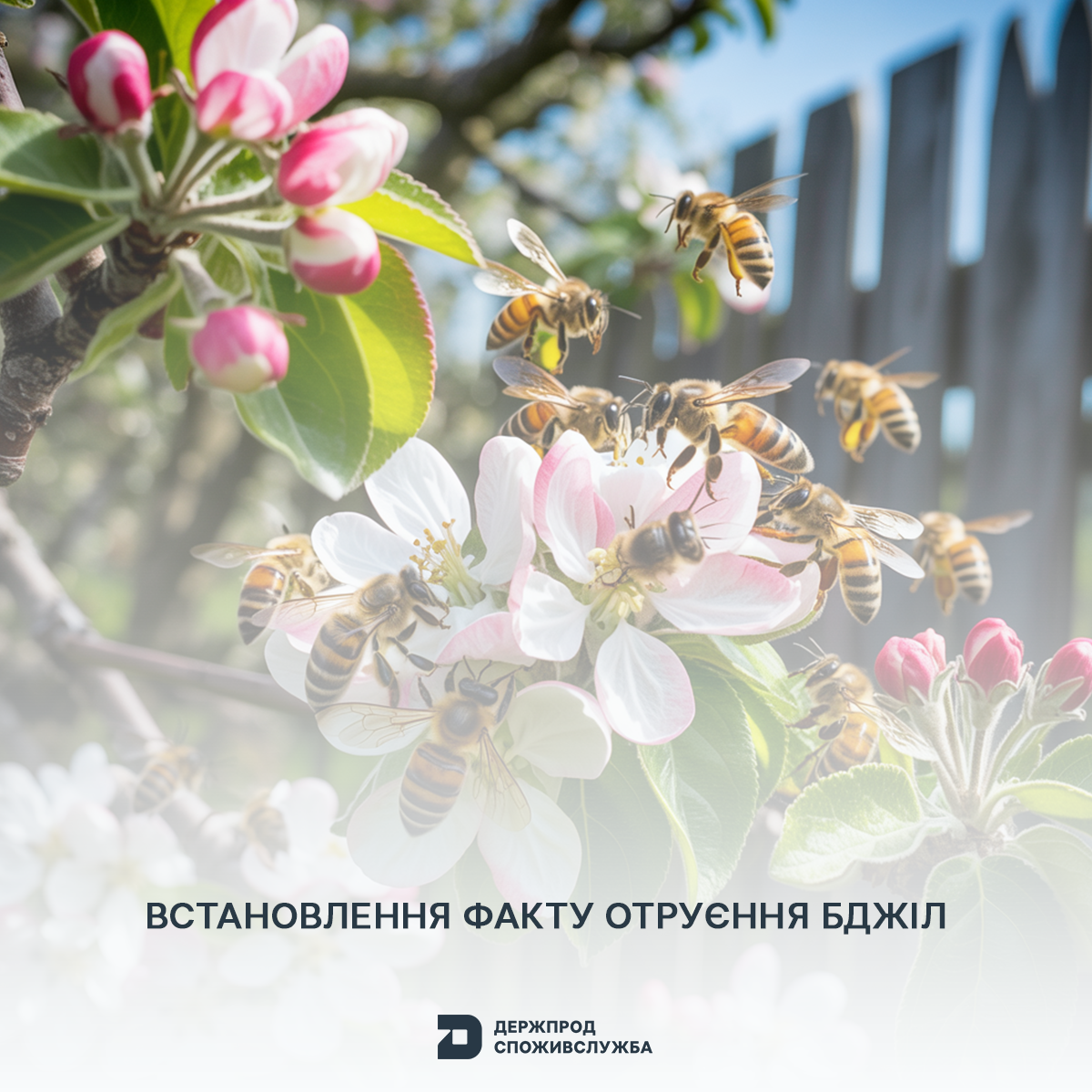 Встановлення факту отруєння бджіл