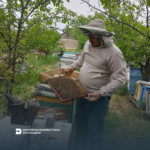 97 На Херсонщині триває планова кампанія протиепізоотичних заходів на пасіках