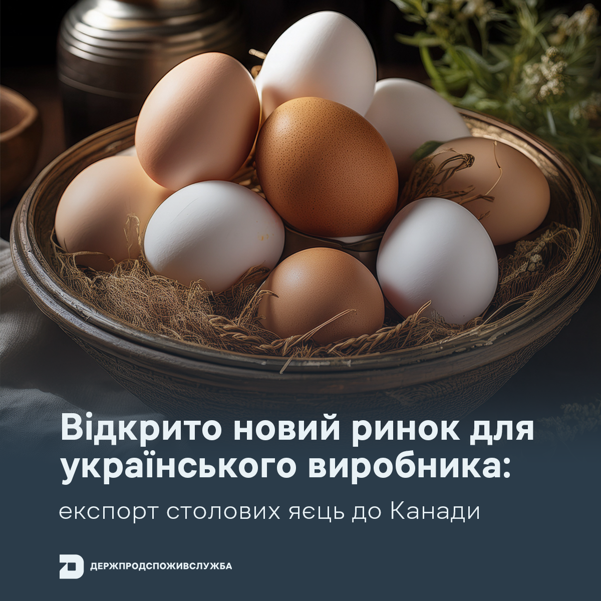 Відкрито новий ринок для українського виробника: експорт столових яєць до Канади