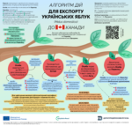 Експорт українських яблук до Канади: покрокові дії для експортера