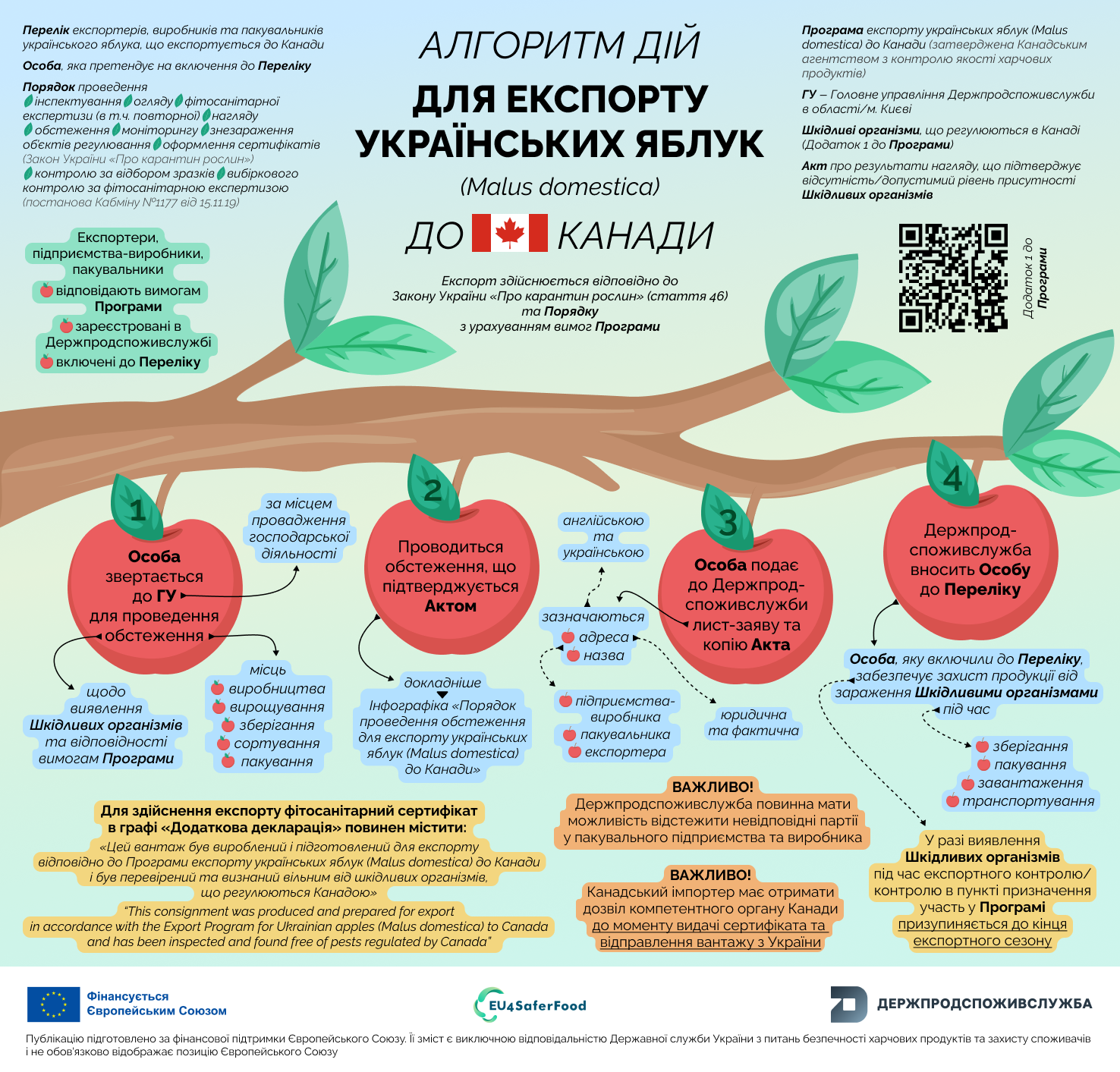 Експорт українських яблук до Канади: покрокові дії для експортера