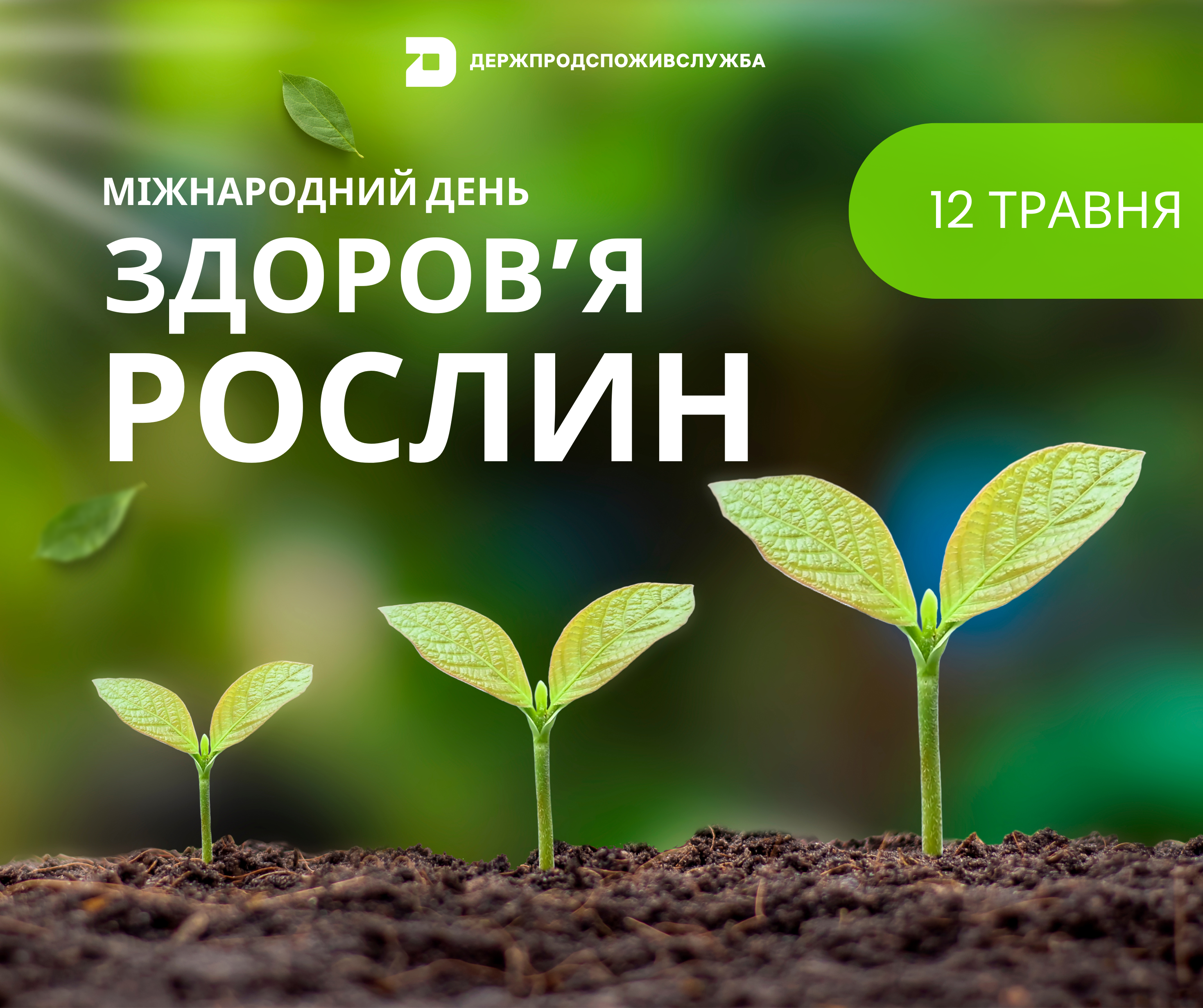 Міжнародний день здоров’я рослин: «Важливість здоров’я рослин в Єдиному здоров’ї»