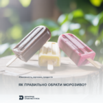 Морозиво Безпечність харчових продуктів: як правильно обрати морозиво в магазині?
