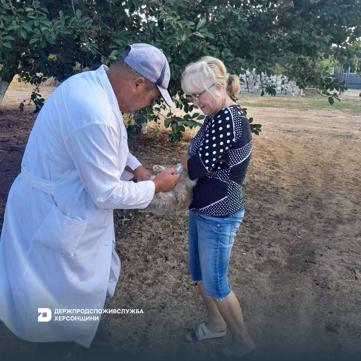 Держпродспоживслужба Херсонщини продовжує роботу по забезпеченню контрольованої епізоотичної ситуації в регіоні