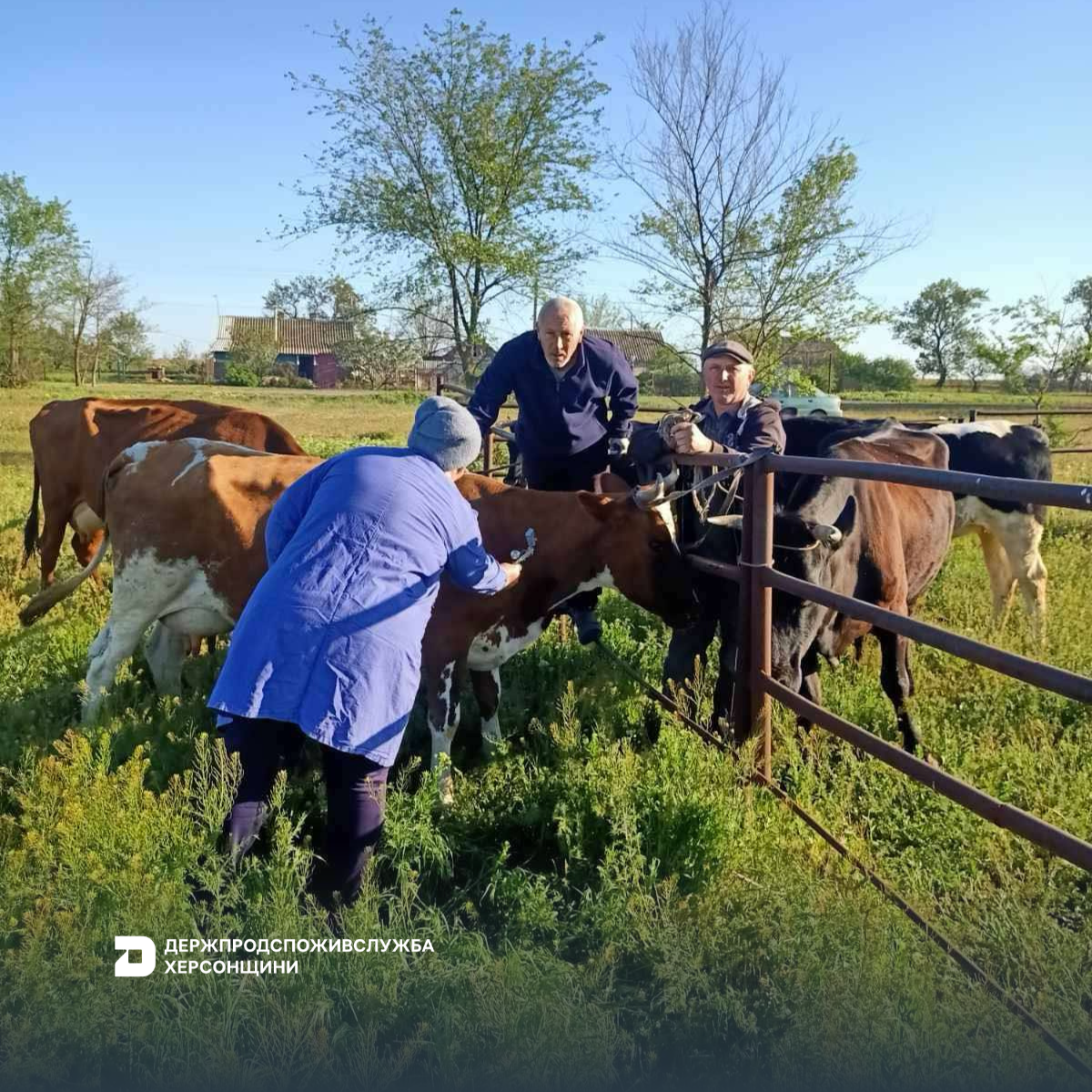 Зупинимо вірус ящуру! Не допустимо поширення в Україні!