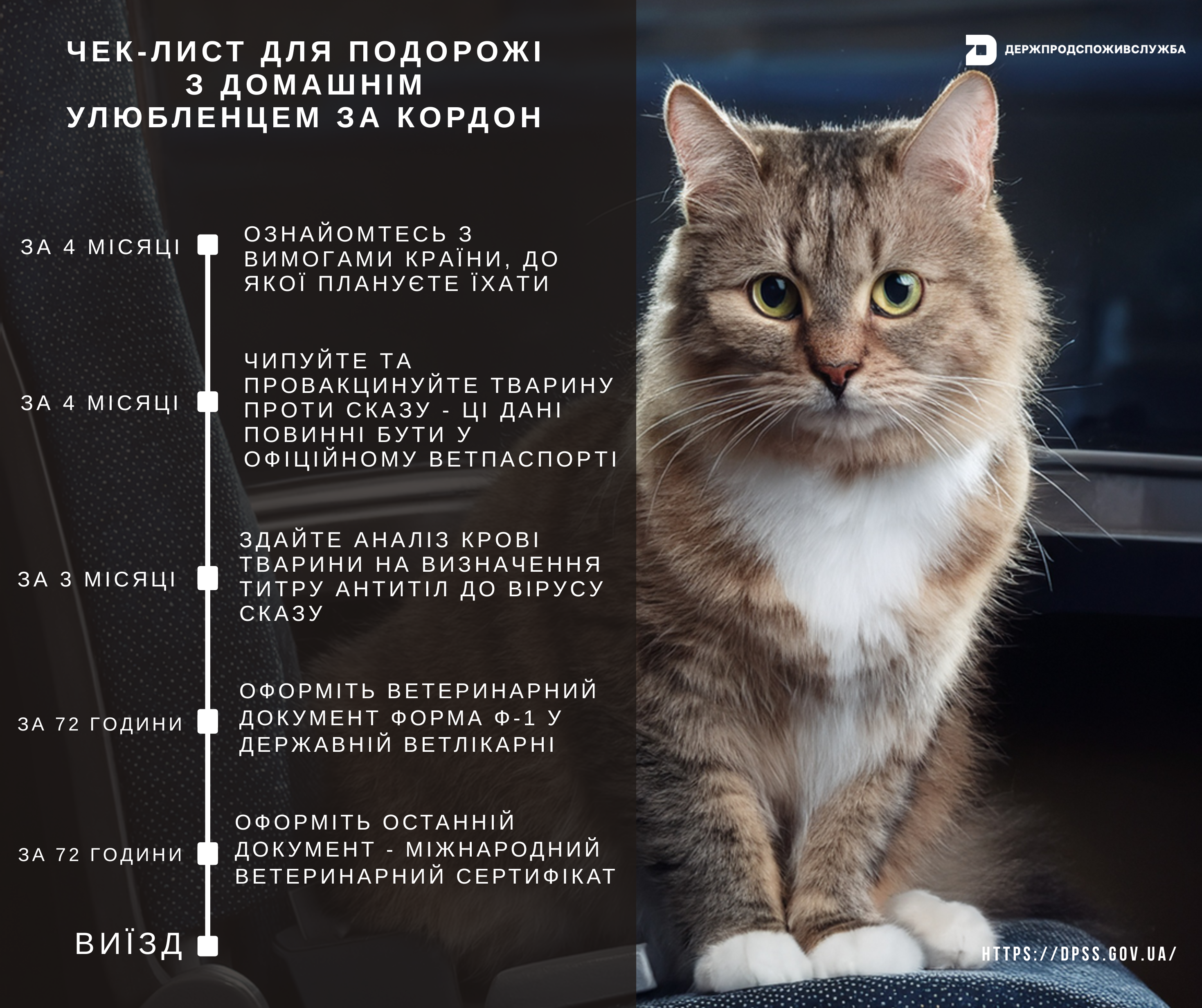 Чек-лист для подорожі з домашнім улюбленцем за кордон