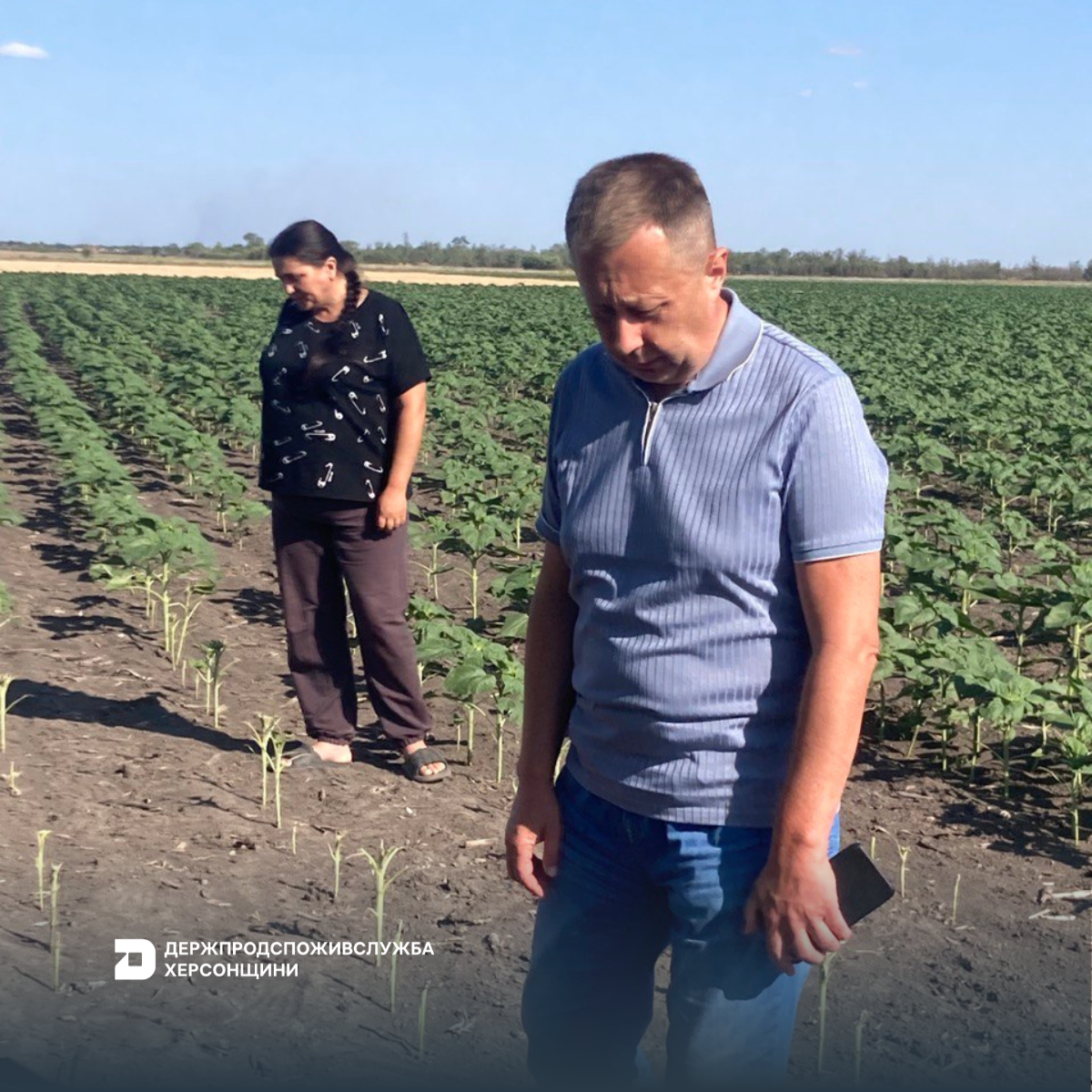 Бериславський район: моніторинг земель сільськогосподарського призначення в с. Нова Кубань Борозенської сільської територіальної громади