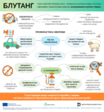 02.07.2025 Блутанг: заходи профілактики
