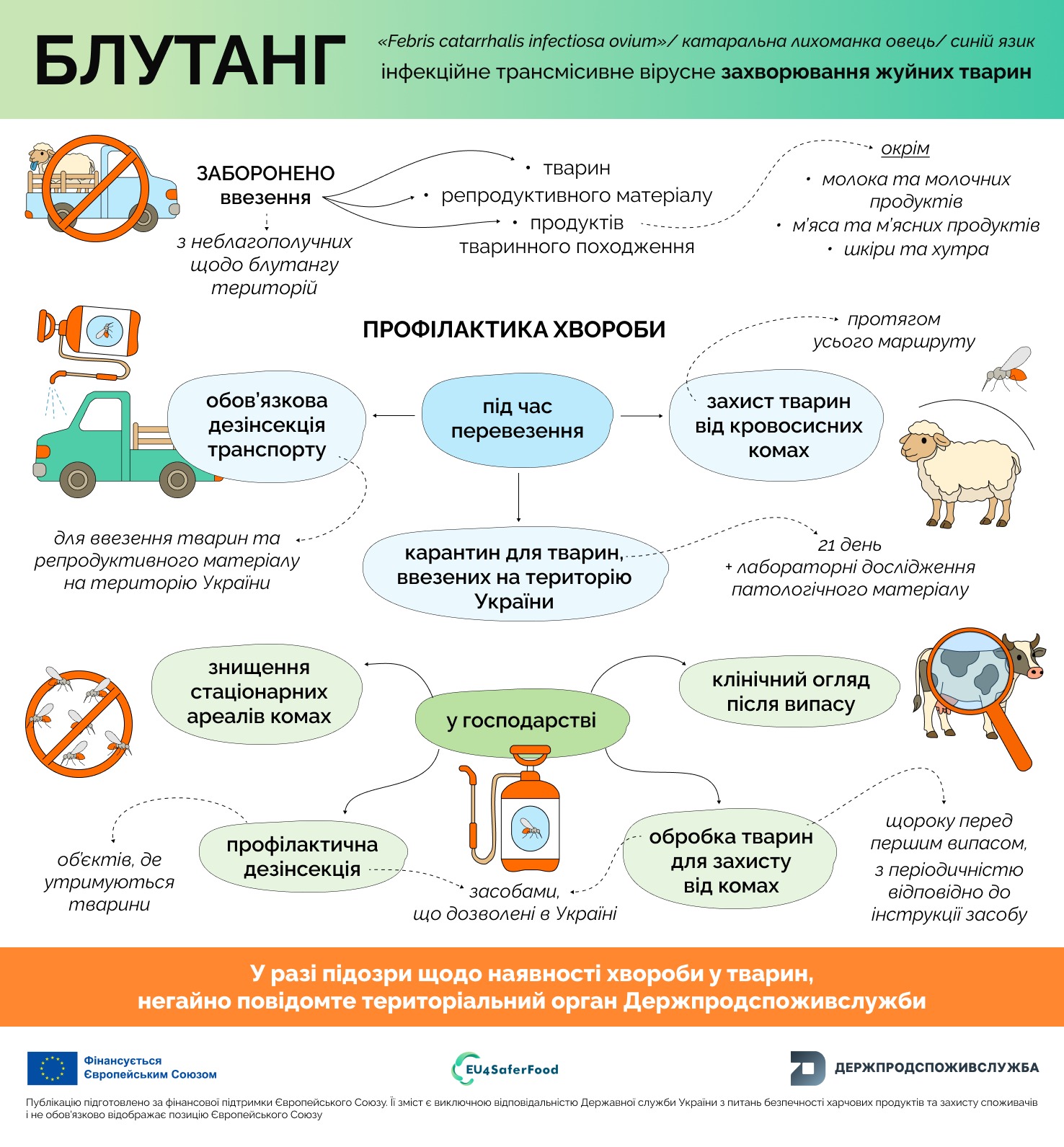 Блутанг: заходи профілактики