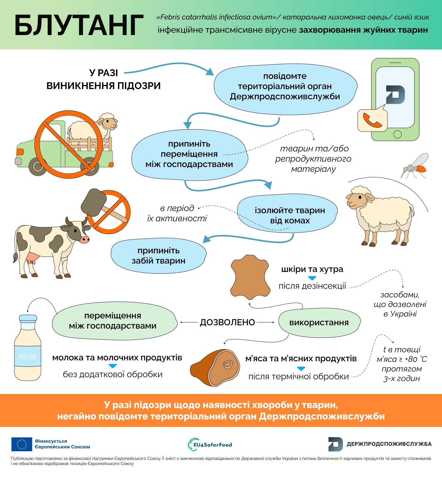 Блутанг: алгоритм дій у разі підозри на захворювання