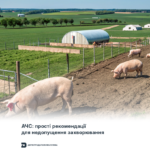 30.07.2025-2 АЧС: прості рекомендації для недопущення захворювання