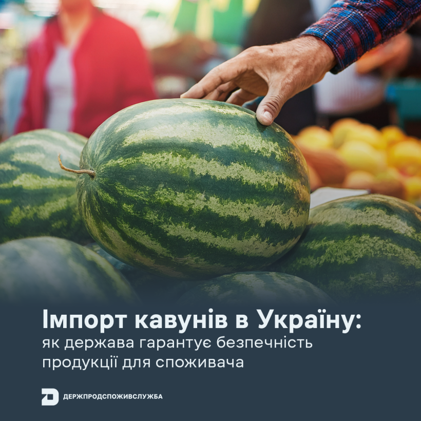 Імпорт кавунів в Україну: як держава гарантує безпечність продукції для споживача