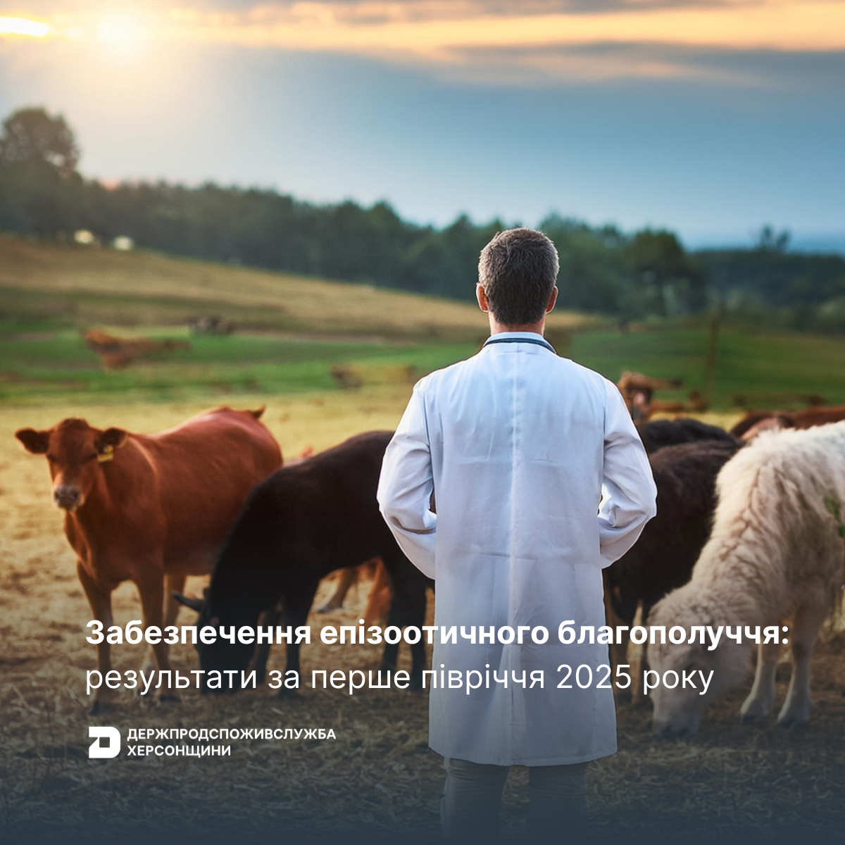 Забезпечення епізоотичного благополуччя: результати за перше півріччя 2025 року