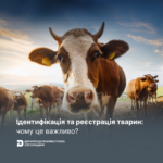 Вимоги до (53) Ідентифікація та реєстрація тварин: чому це важливо?