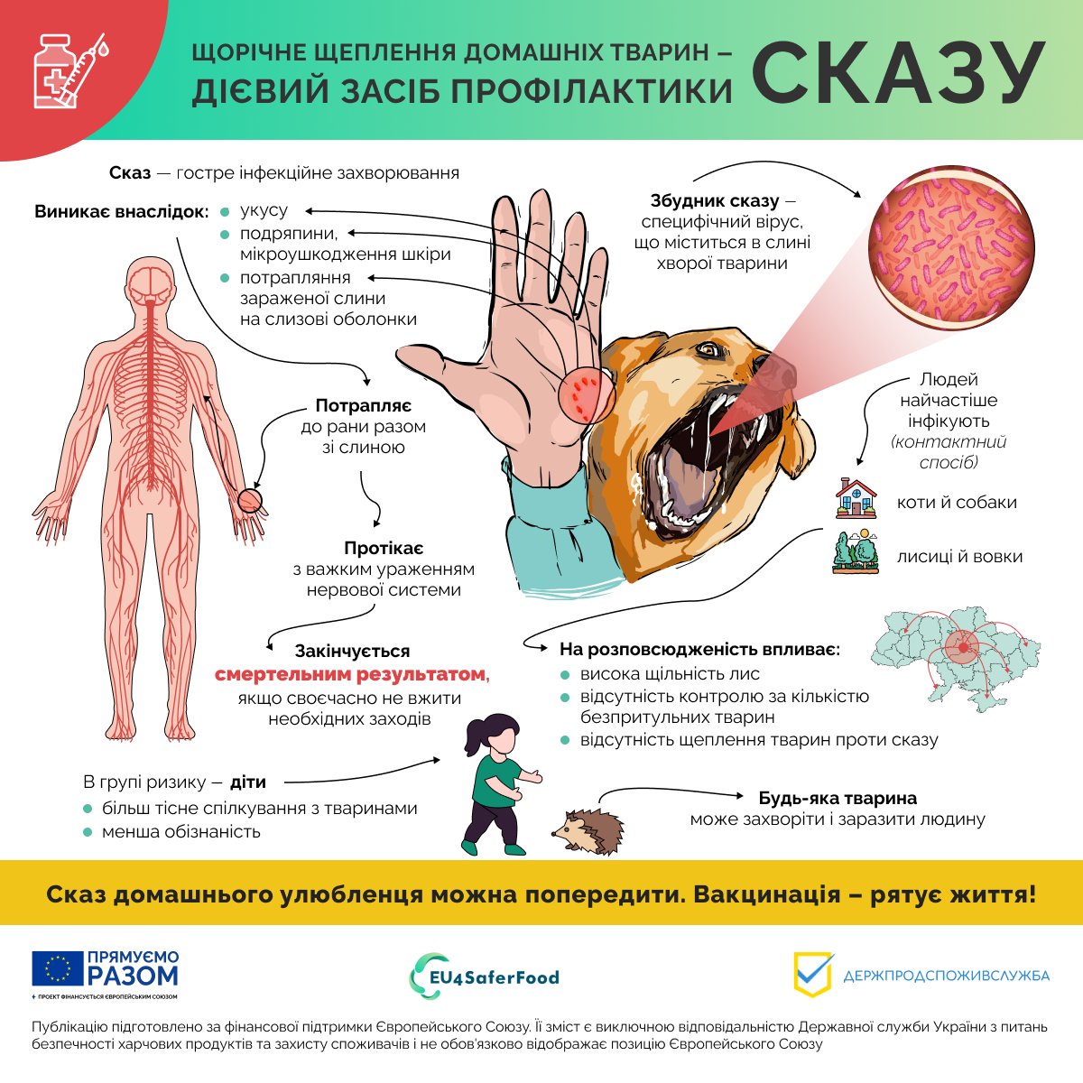 Сказ: що важливо знати