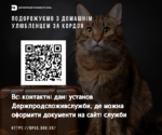 Виїзд з домашньою твариною за кордон: які документи необхідно оформити